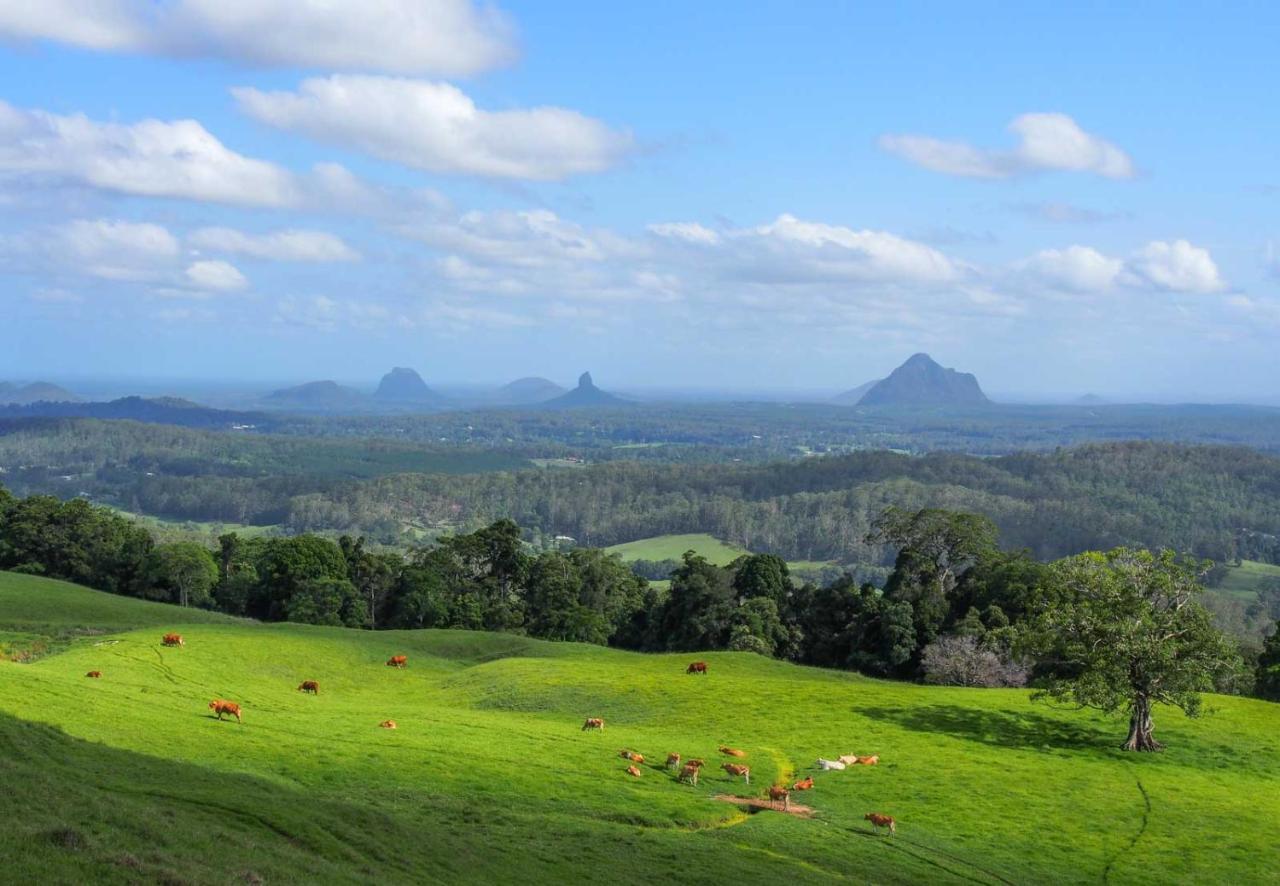 Maleny Lake Cottages מראה חיצוני תמונה